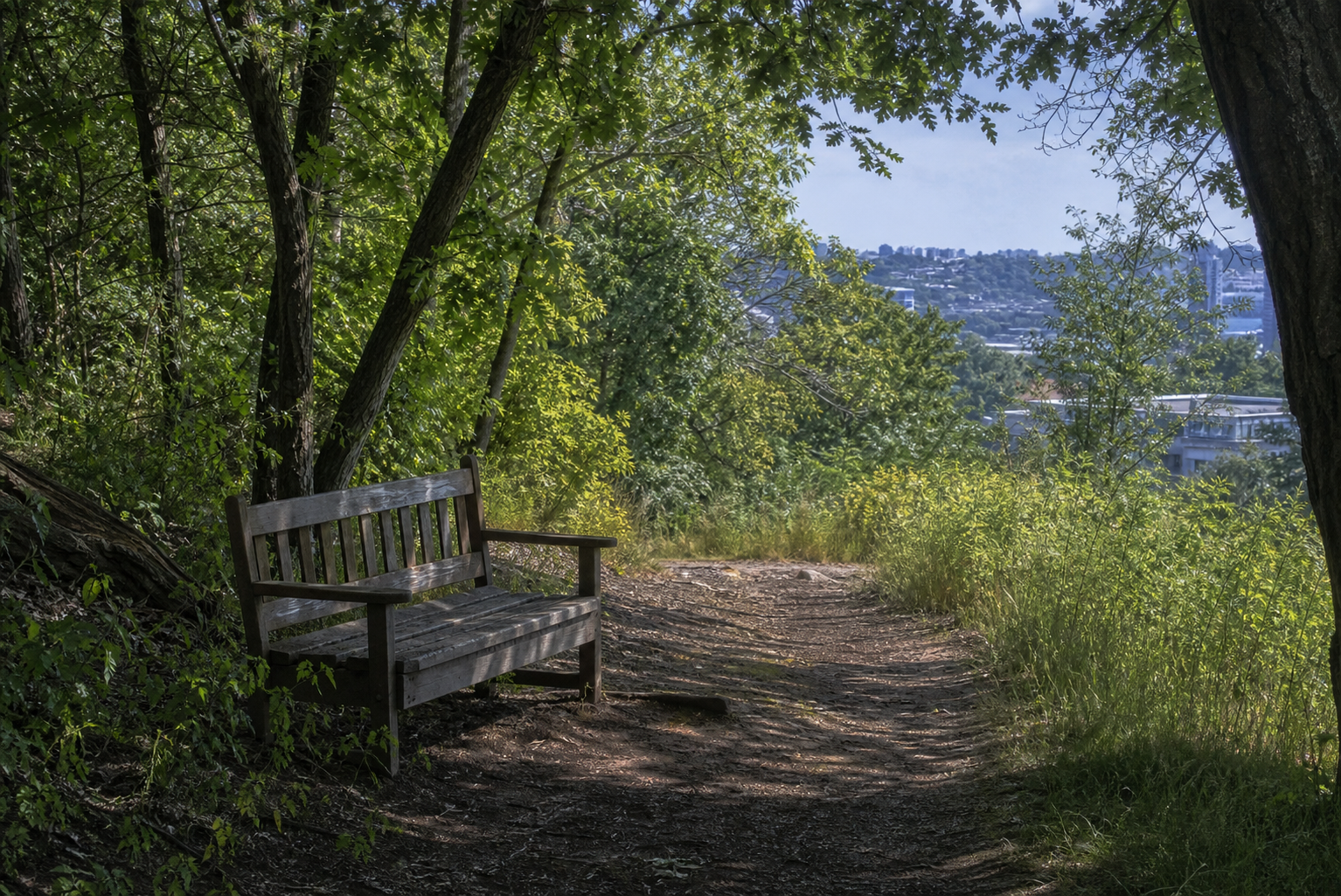 Une pause nature proche peut transformer une heure ordinaire